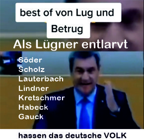 Lug und Betrug deutscher Politik